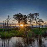 Maryland's Eastern Shore
