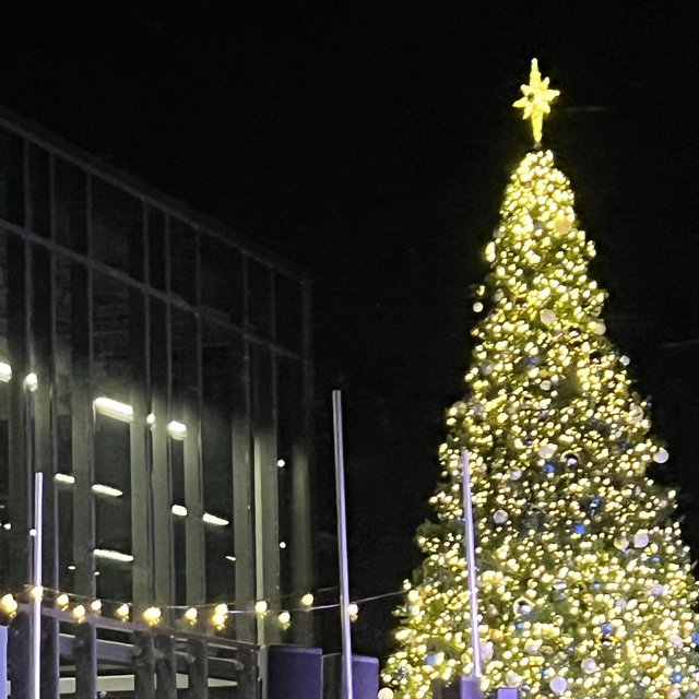 First Christmas decorations