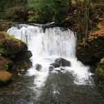 Whatcom Falls Park