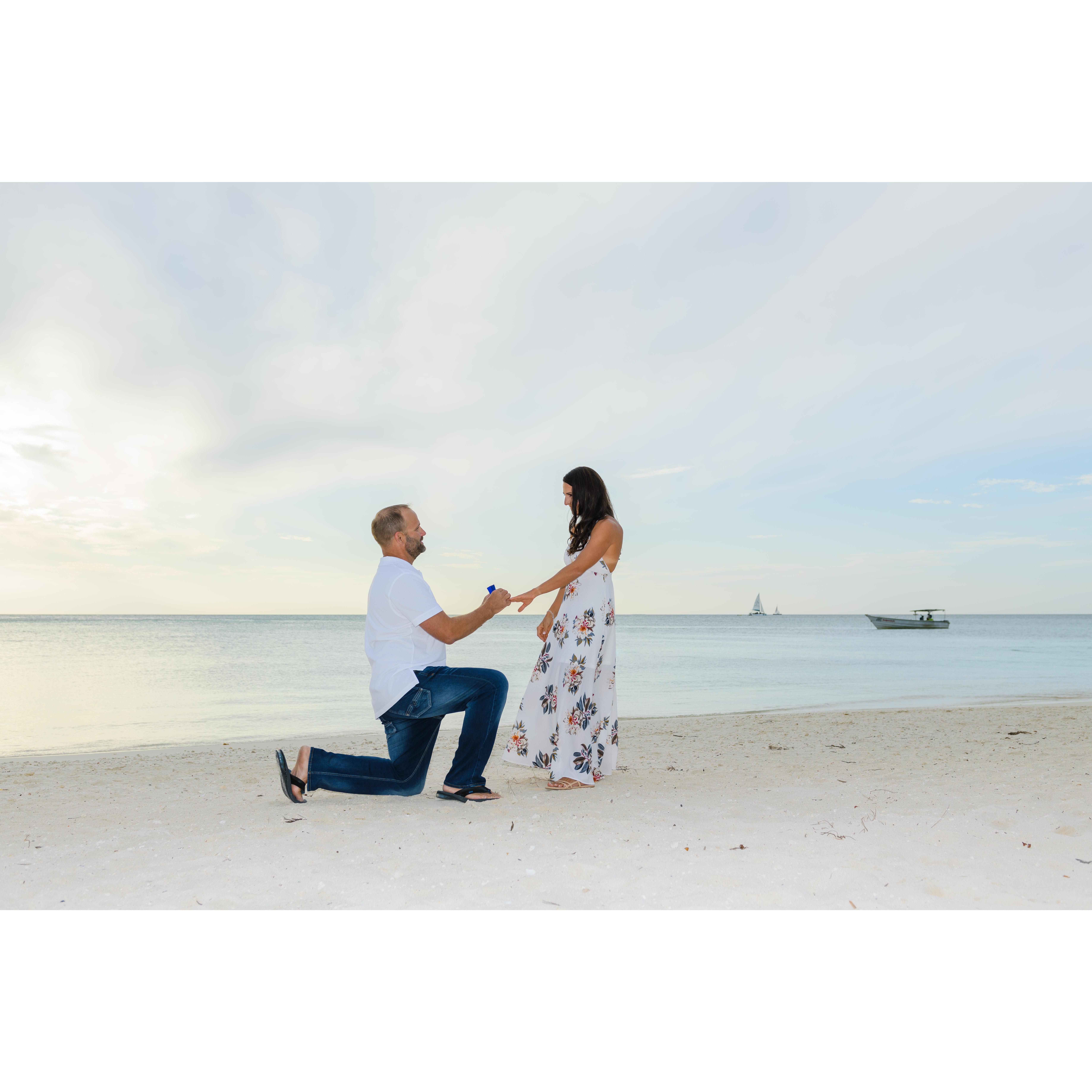 Matt proposed with a beautiful Tacori ring!