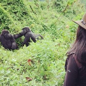 Honeymoon Fund: Gorilla Trekking