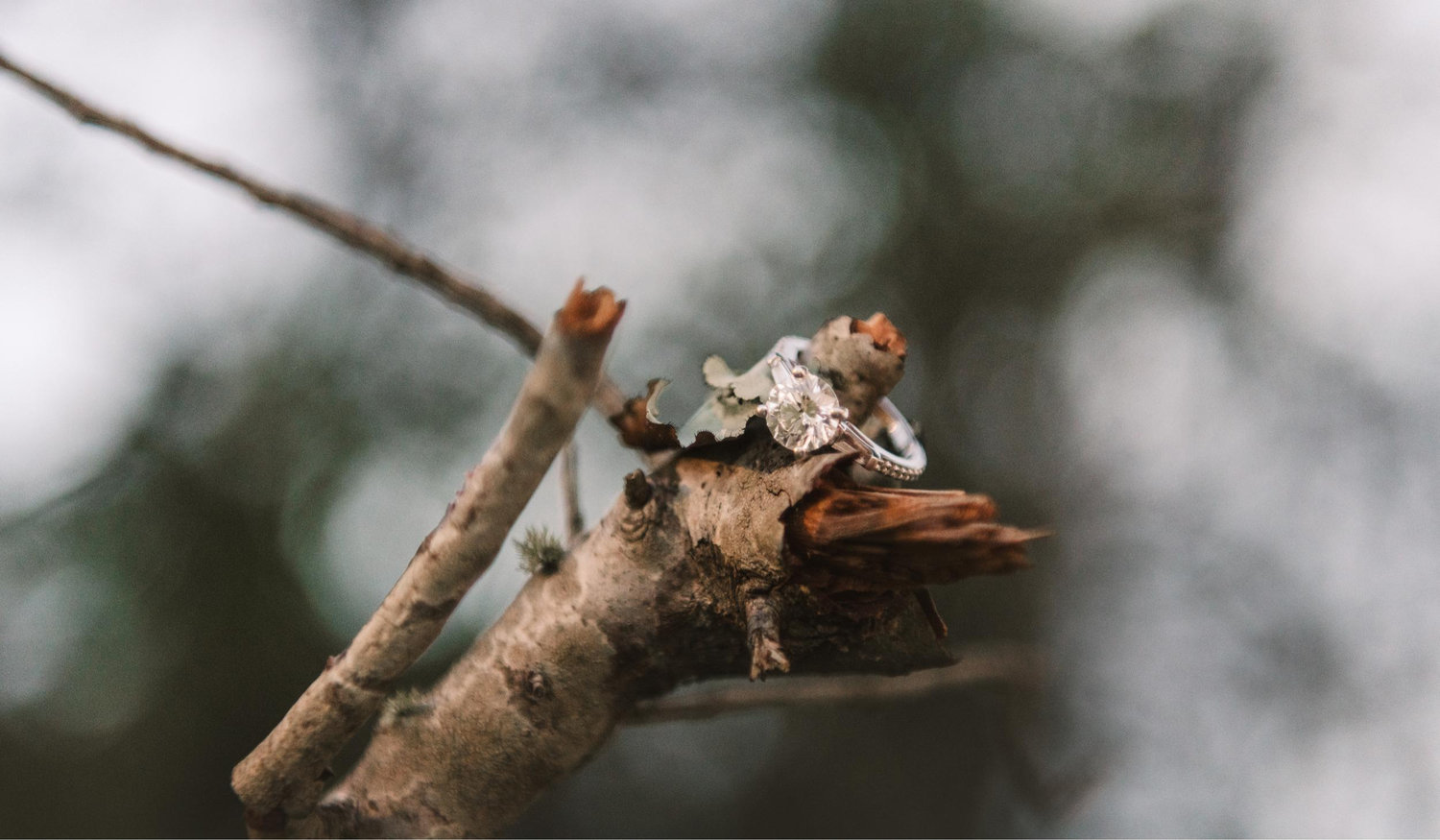 Footer image