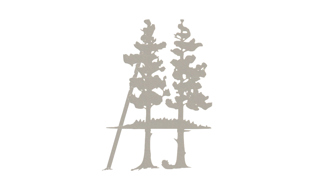 Footer image