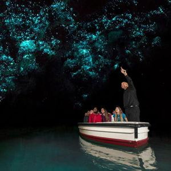 Honeymoon - Glowworm Cave Boat Ride