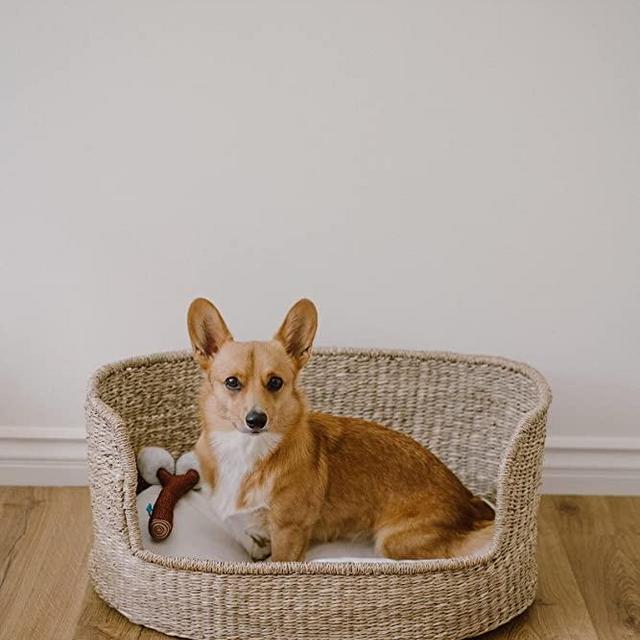 Woven Pet Bed with Cushion - Seagrass Wicker Pet Bed, Organic Cotten Blend Cushion, Washable Removable Cover, Dog Bed, Cat Bed (Large)