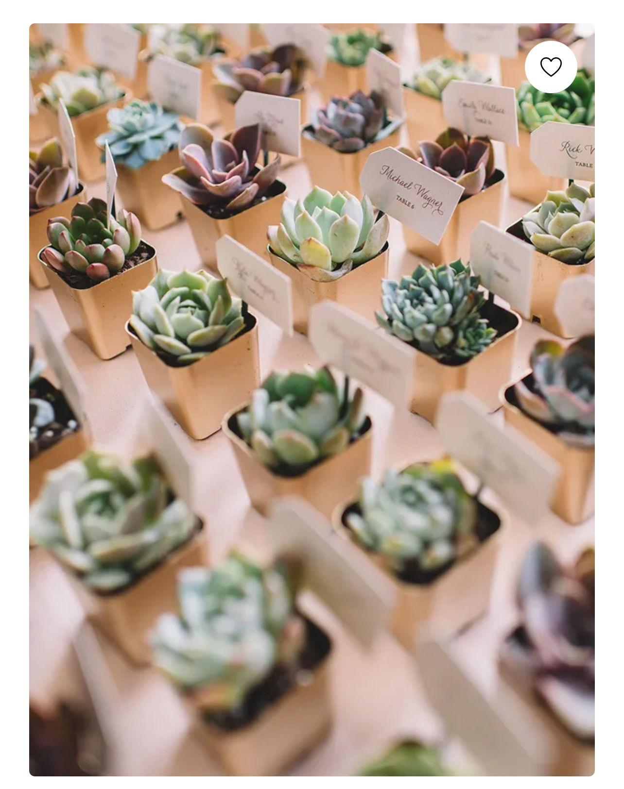 The Wedding Website of Christian Roedel and Matthew Nicholson
