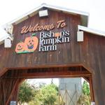 Bishop's Pumpkin Farm