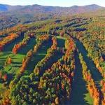 Golf - Christman's