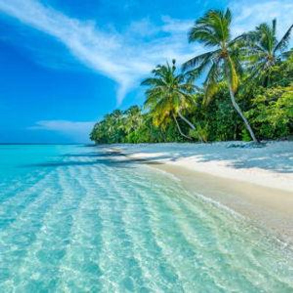 Honeymoon Fund