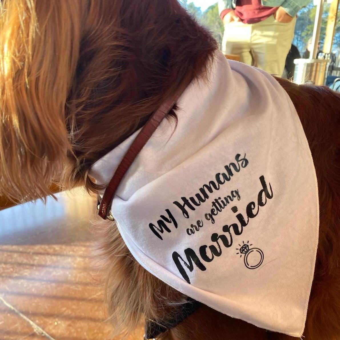 Needless to say, Molly is enjoying her outfit changes.