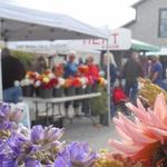 DO: San Juan Island Farmer's Market (Saturday, 9:30AM-1:00PM)