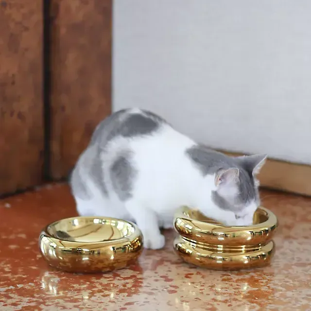 Catenary Home Cat Halo Bowl