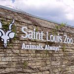Saint Louis Zoo