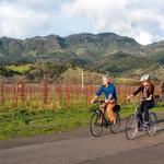 Calistoga Bikeshop