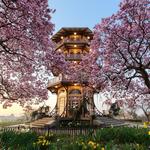 Patterson Park