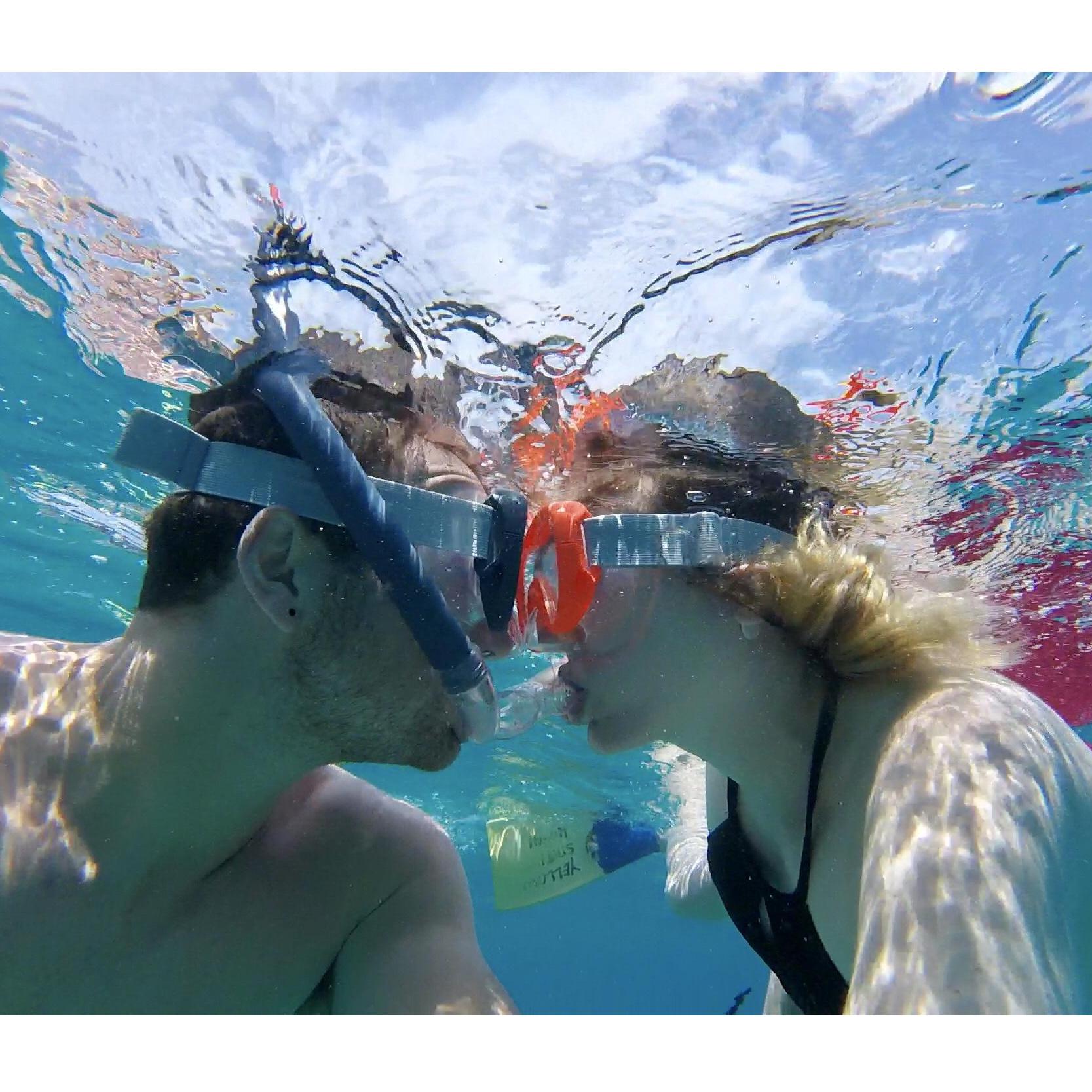 Swimming with the fishes in Malaysia