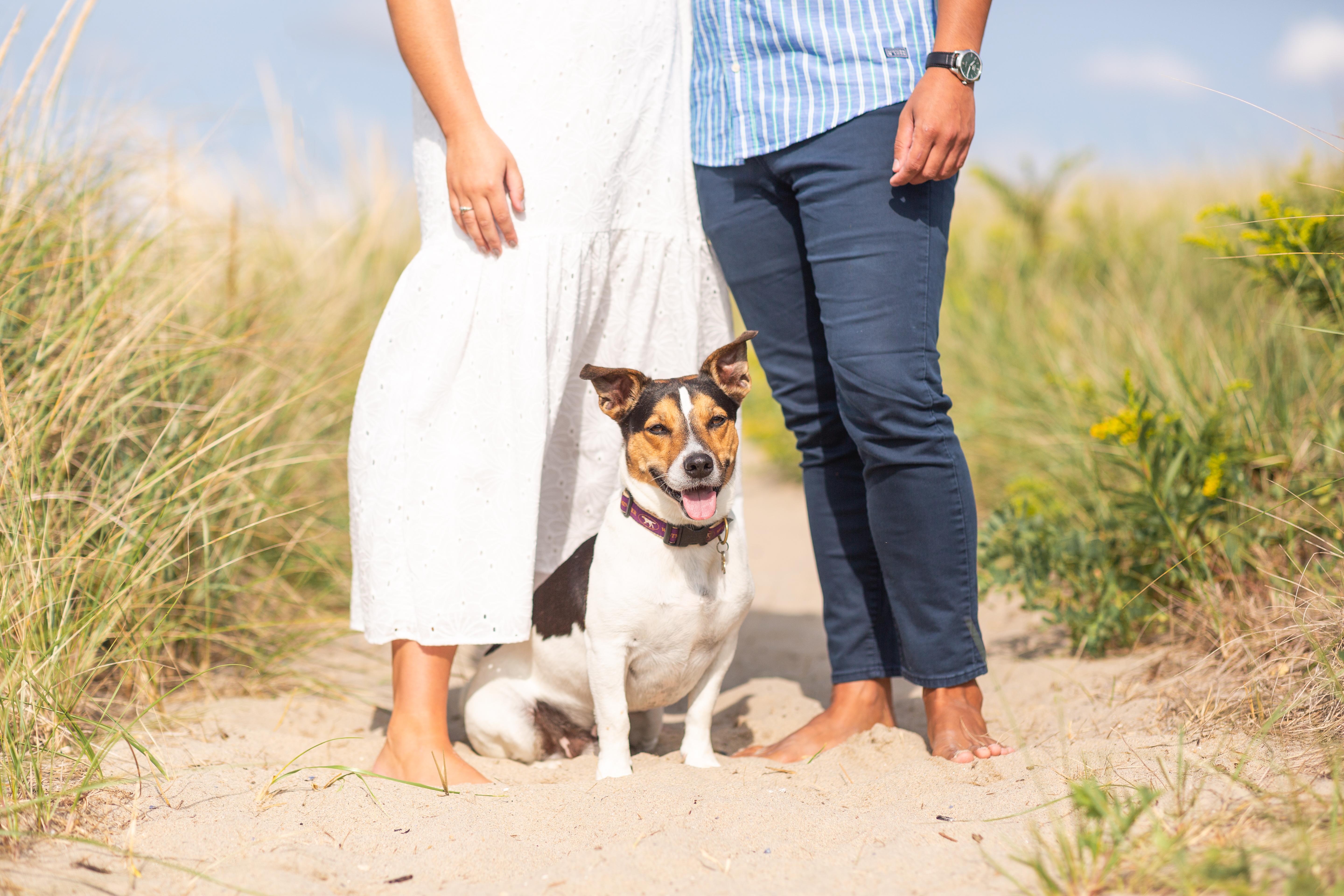 The Wedding Website of Sarah Giblin and Steve Salceda