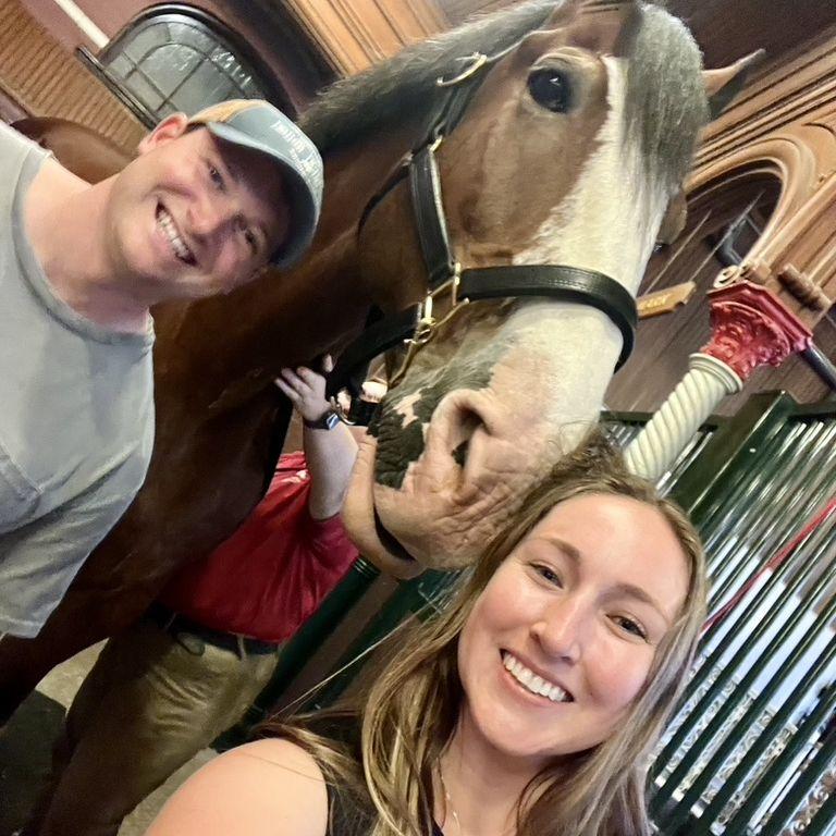 Budweiser horses! (STL, MO)