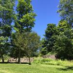 Ballantine Park