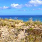 Marconi Beach