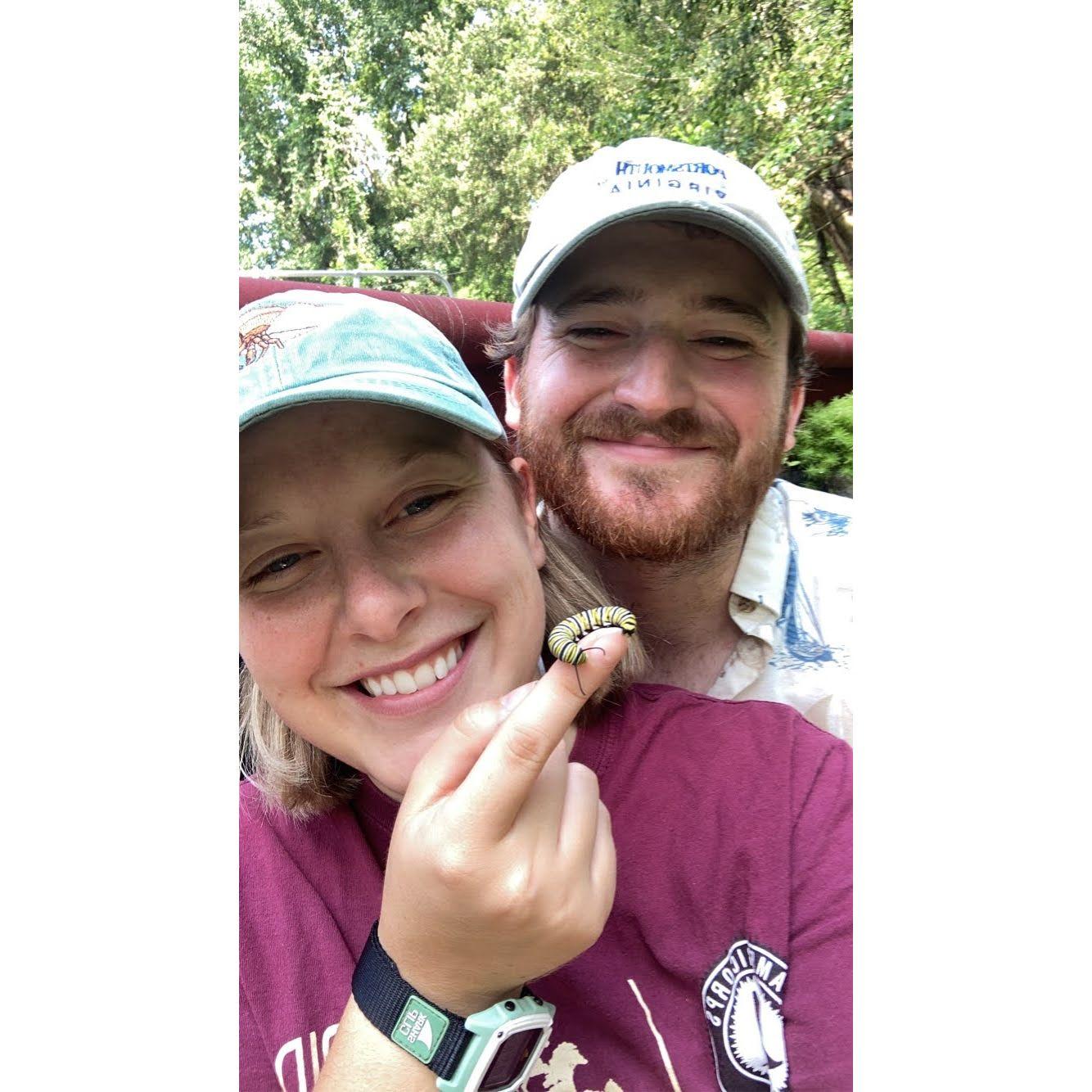 Raising monarch butterflies (August 2021)