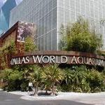 The Dallas World Aquarium