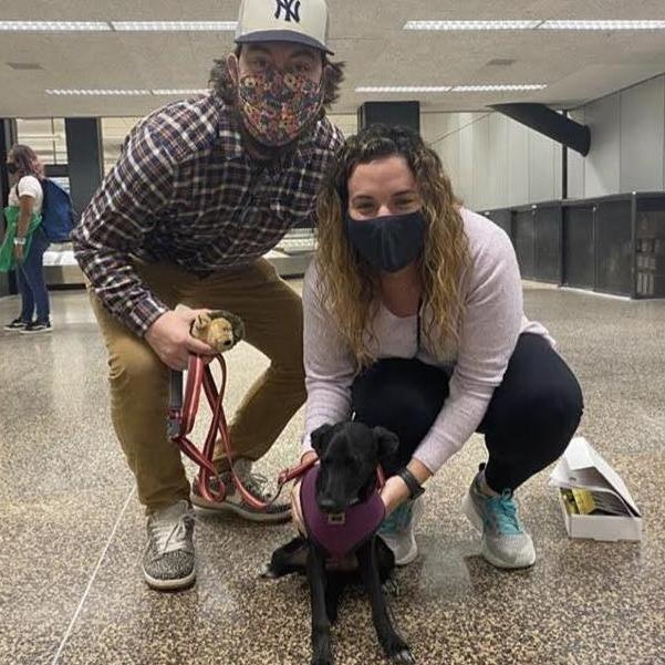 A big pandemic highlight: adopting Ethel in September!
