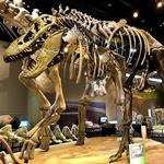 Perot Museum of Nature and Science (Dallas)