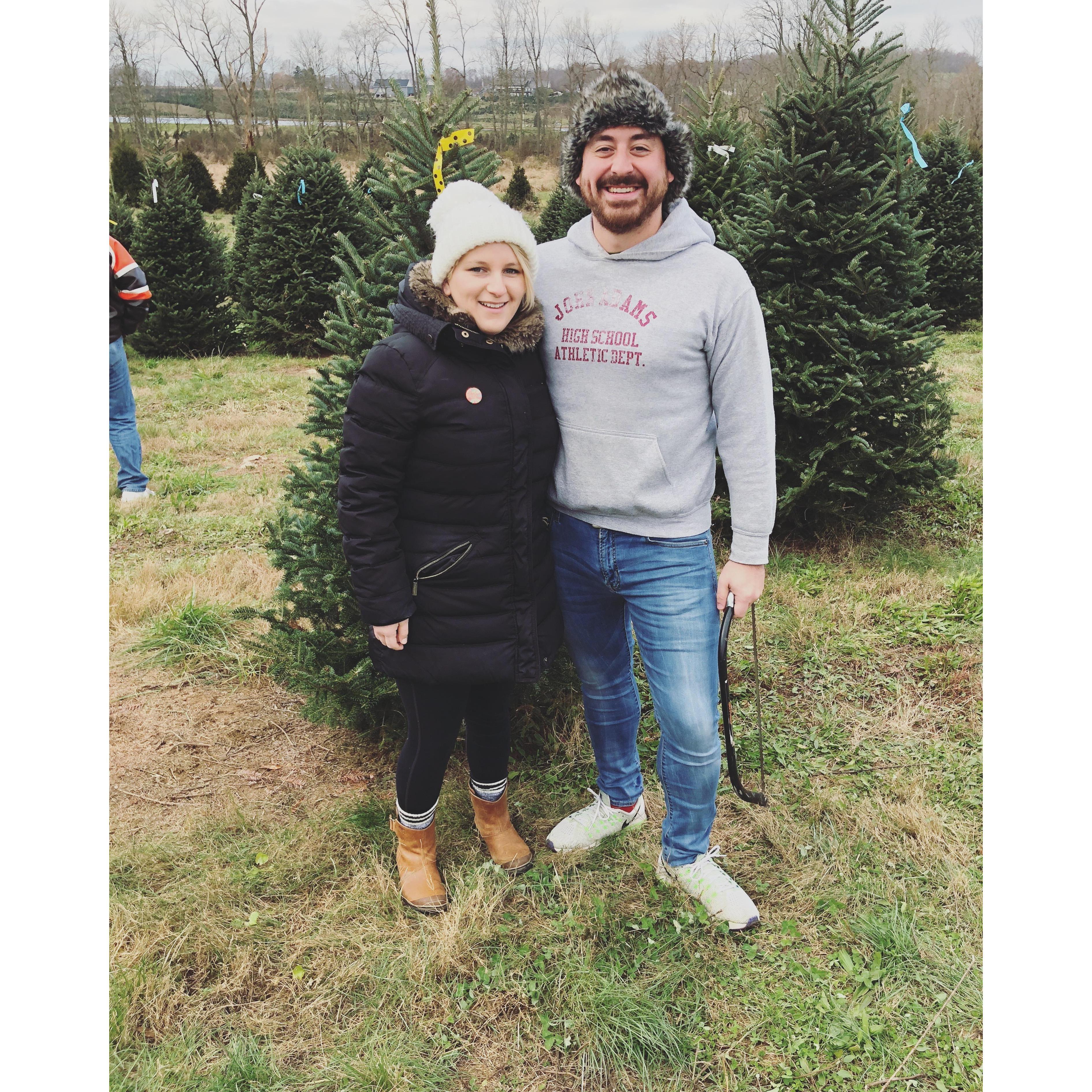 Our First Christmas Tree!