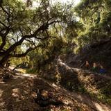 Hiking & Trails