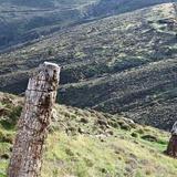 Lesvos Petrified Forest