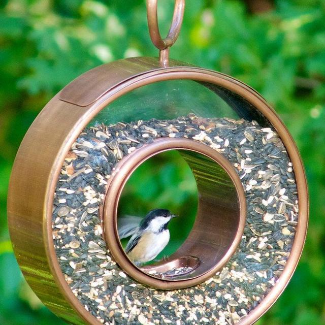 Fly-Thru™ Bird Feeder with Copper Finish
