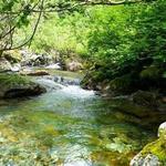 Big Indian Creek Waterway Trails