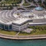 Shedd Aquarium