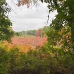 Waterloo State Recreation Area
