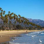 Beaches & Parks