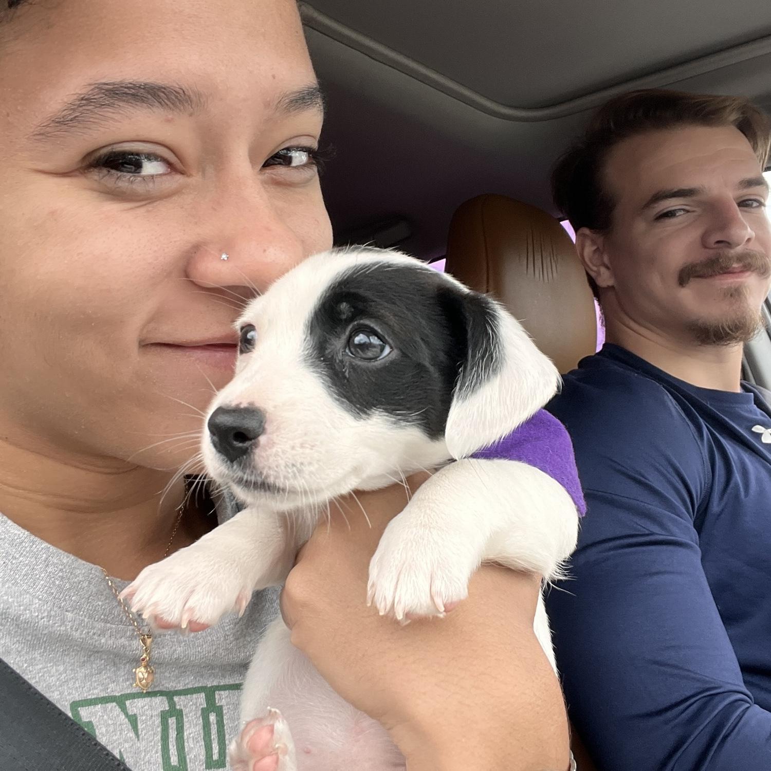 The road trip to pick up Dot-dot “perrita” for Gigis brother🐾