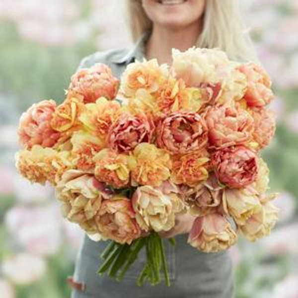 Fall Bulb and Spring Bloom Fund