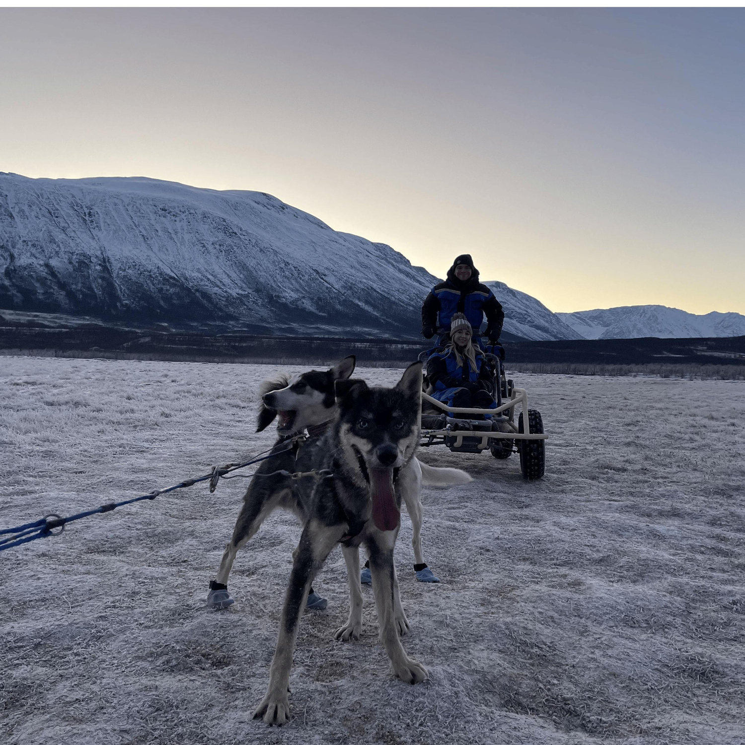 Dog sledding in Tromso, NO