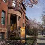 The Phillips Collection