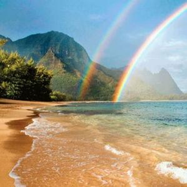 Hawaiian Honeymoon Fund!