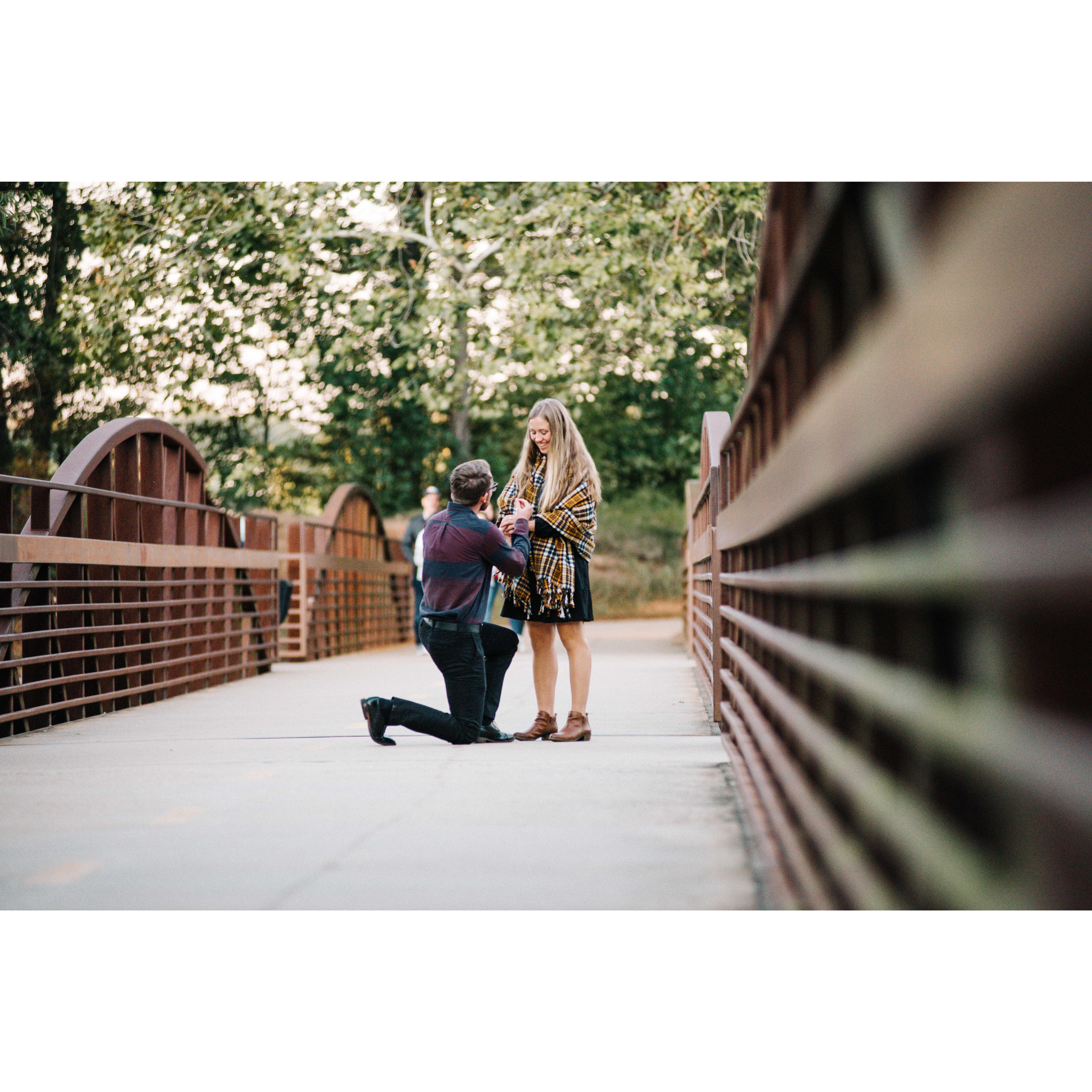 The happiest moment yet! Aidan proposed on October 12th, 2019 with a diamond he had bought and had set in India.