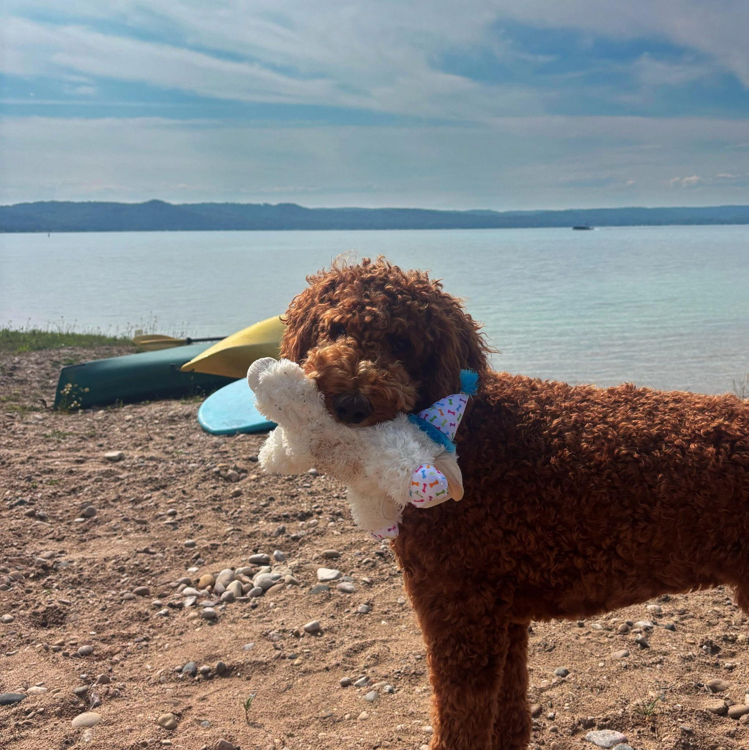Ollie's 1st Birthday in Michigan!