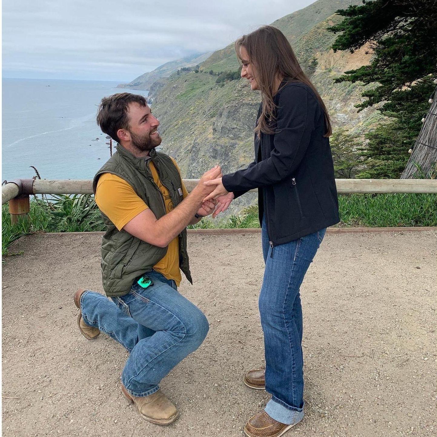 Kale proposed May 27th, 2023 at Ragged Point in Big Sir
