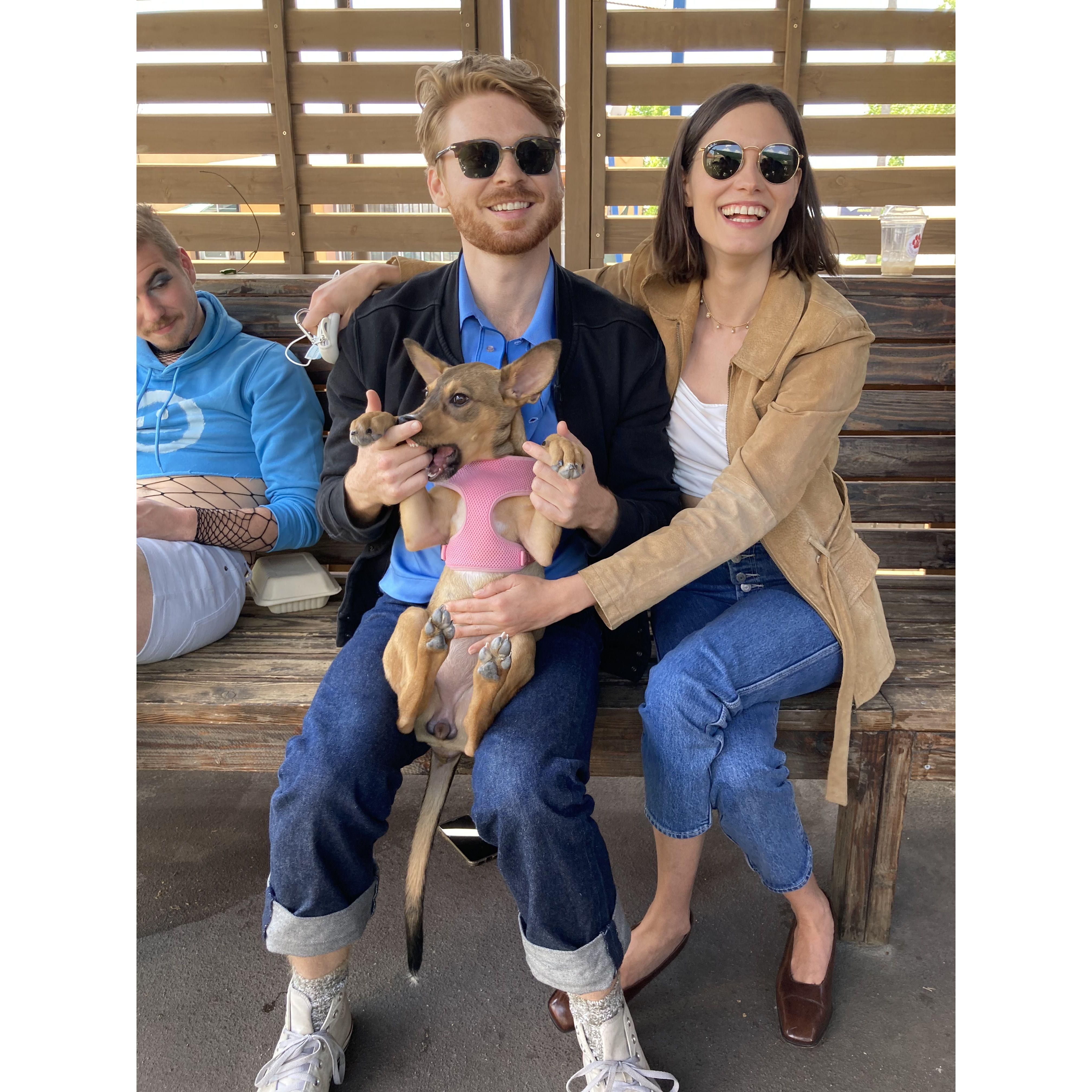 Mookie's first dog park experience | Eagle Rock, CA | Fall 2021