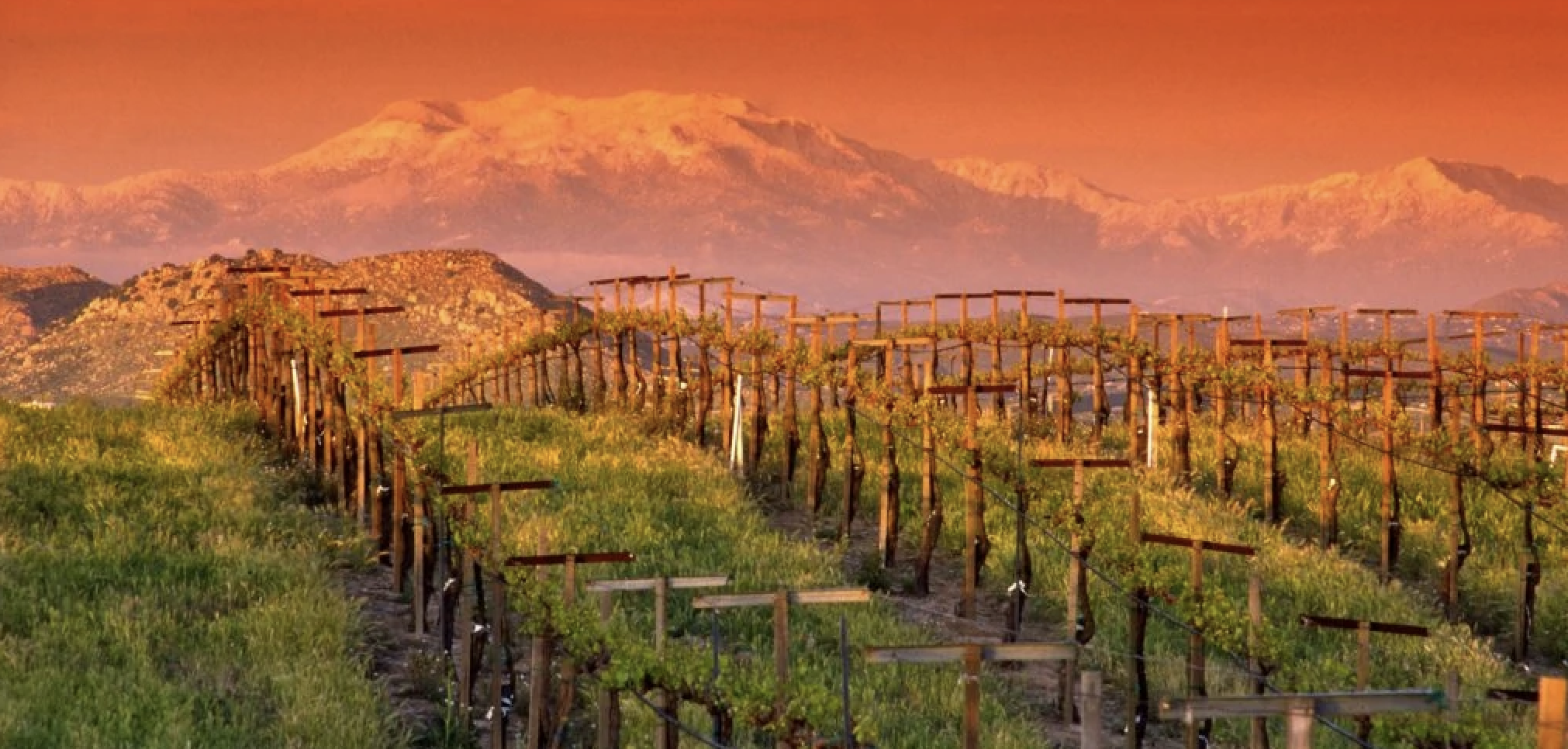 The Wedding Website of Tallie Gigi and Bobby Stein