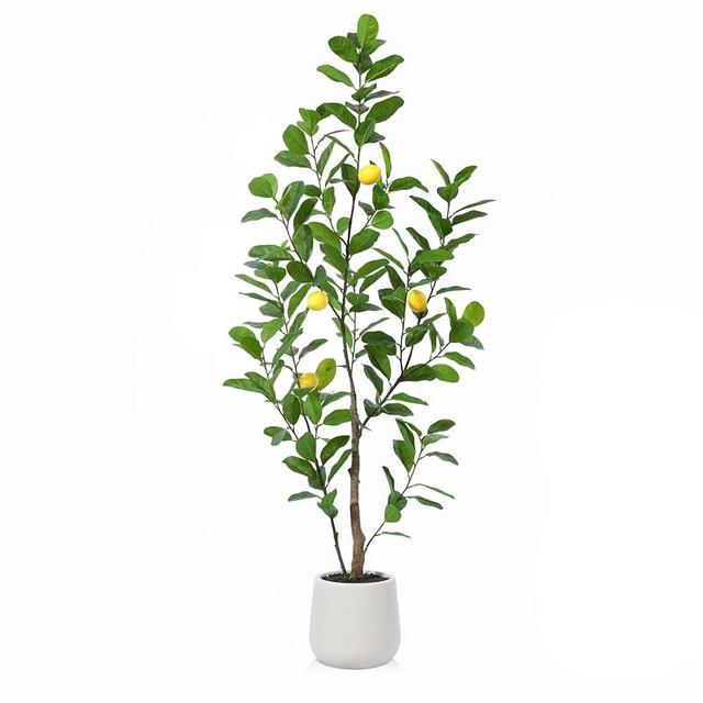 Laiwot Artificial Tree, 5ft Tall Fake Lemon Plants for Indoor Home Decor, Faux Lemon Tree with 9in White Planter, Large Floor Plants for Office Living Room Decor, 1 Pack