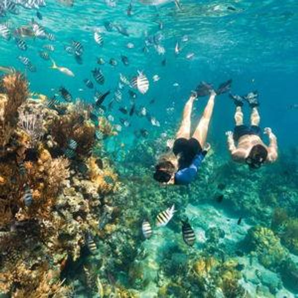 Snorkeling For Two