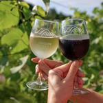 Arrigoni Winery & Cider Co.