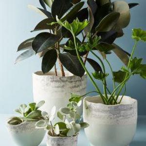 Seafoam Pot - Window
